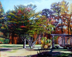 Selma's Garden